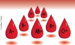 AB0-System Antikörper Blut Blutgruppe Blutgruppen-System Blutkörperchen Bluttransfusion Notfall