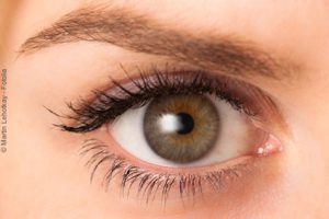 Ein Augeninfarkt kann auch durch Probleme mit Darmbakterien entstehen. 